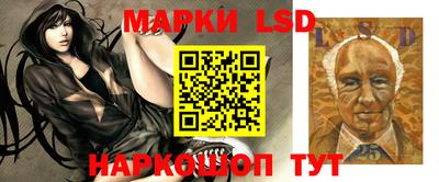 гидропоника Дубна