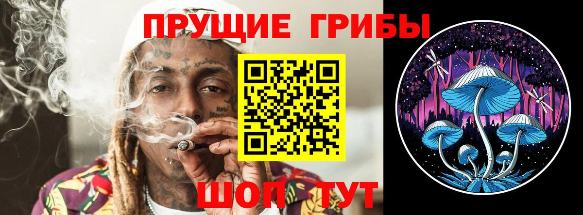 Псилоцибиновые грибы прущие грибы Воскресенск